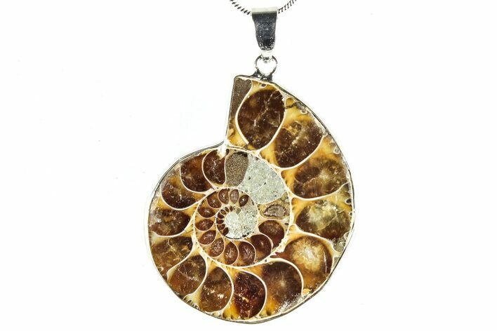 Fossil Ammonite Pendant - Million Years Old #306505